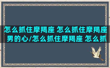 怎么抓住摩羯座 怎么抓住摩羯座男的心/怎么抓住摩羯座 怎么抓住摩羯座男的心-我的网站